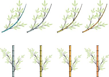 Bambu vektör tasarım çizim
