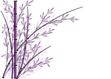 Bambu vektör arka plan çizim