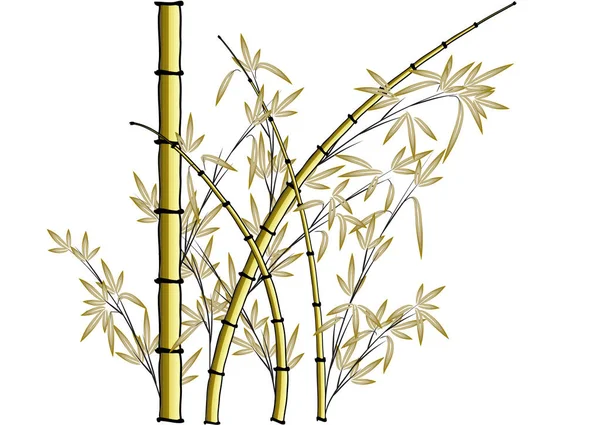 Bamboo Vektorritning Bakgrund — Stock vektor