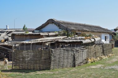 Sazlık evi ve garaja çatılar. Hasır çit etnik kazak ev yakınındaki.