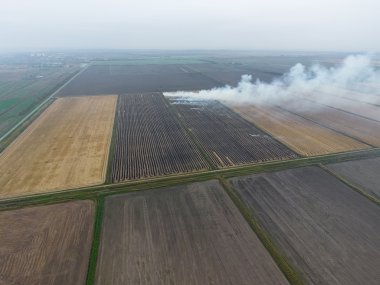 Buğday ürün hasat sonra alanları yanan saman