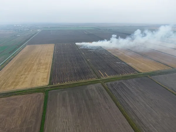 Buğday ürün hasat sonra alanları yanan saman