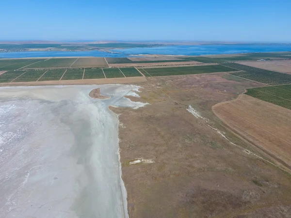 Tuz Gölü yakınındaki üzüm bağları. Yukarıdan görüntülemek