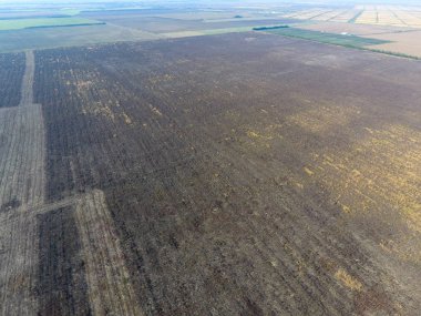 Üstten görünüm sürülmüş bir alanın. Arka plan doku ve yüzey