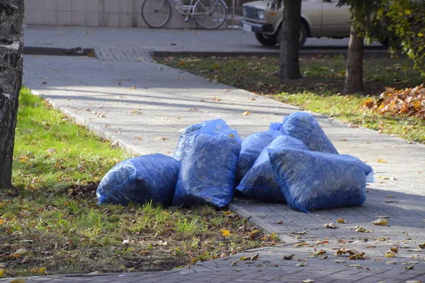 Bags with dry leaves. Cleaning the leaves in the park — Stock Photo, Image