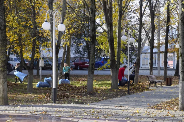 Slavyansk Kubani Rusko Září 2016 Pracovníci Obce Sbírat Listí Parku — Stock fotografie