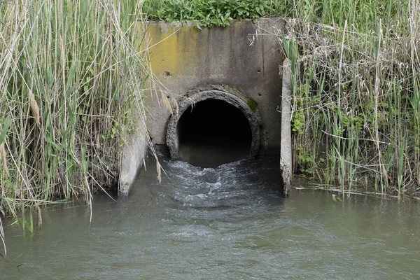 Ağ Geçidi sulama sistemi pirinç paddies. Tarımsal Yapı.