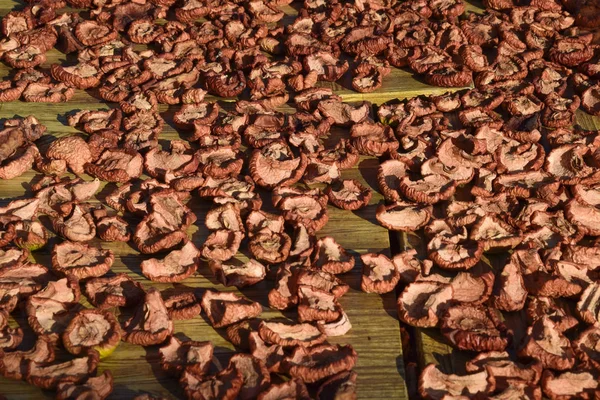 Trockenfrüchte Werden Auf Einem Holzbrett Getrocknet Getrocknete Äpfel Scheiben Geschnitten — Stockfoto