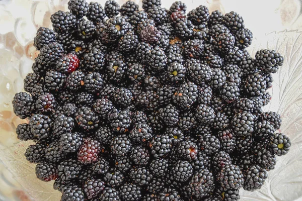 Placa Con Moras Negras Bayas Frutos Bayas Sobre Mesa — Foto de Stock