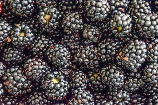 Meyveleri siyah böğürtlen ile plaka — Stok fotoğraf