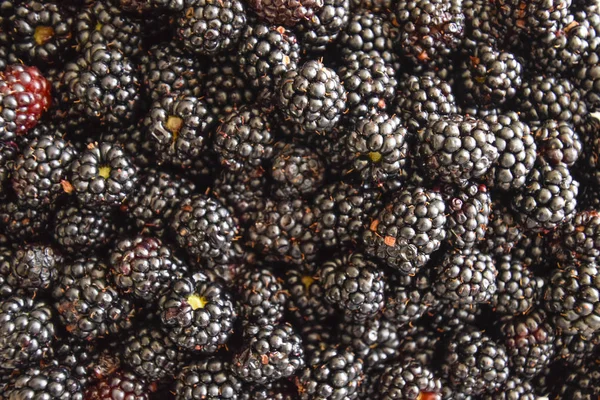 Tallrik Med Bär Svart Björnbär Frukt Bär Bordet — Stockfoto