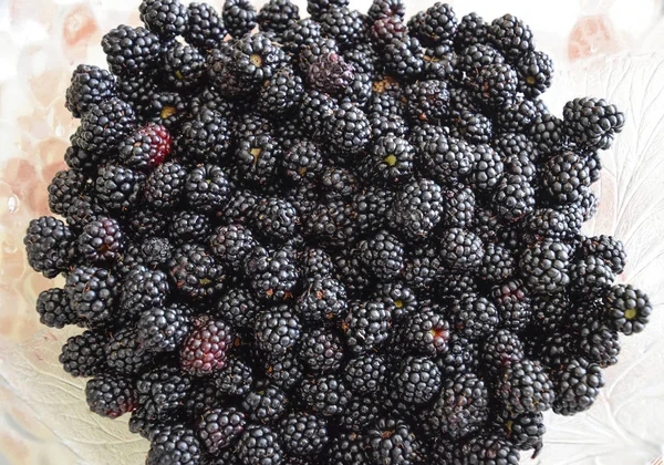 Тарелка Черной Ежевикой Плоды Ягод Столе — стоковое фото