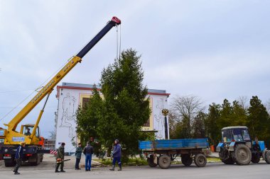Rusya, Poltavskaya köyü - 21 Ocak 2016: Noel ağacı sökülmesi