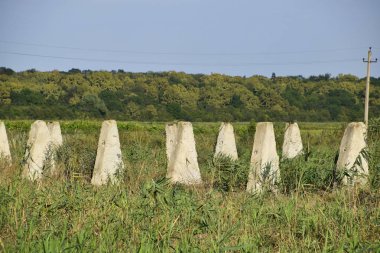Eski çiftlik kalıntıları. Koni sütun temel duvarı. Harap ve terk edilmiş binalar.