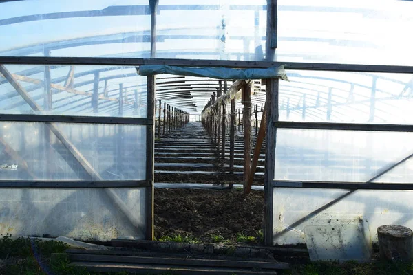 Invernaderos Hechos Película Polímero Primavera Temprana Los Invernaderos Del Jardín —  Fotos de Stock