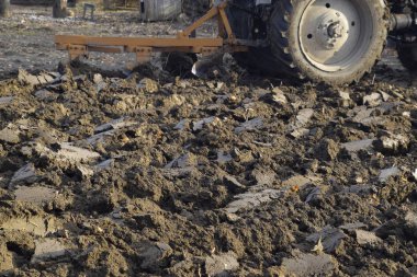 Traktör Bahçe çiftçilik. Bahçedeki toprak çiftçilik.