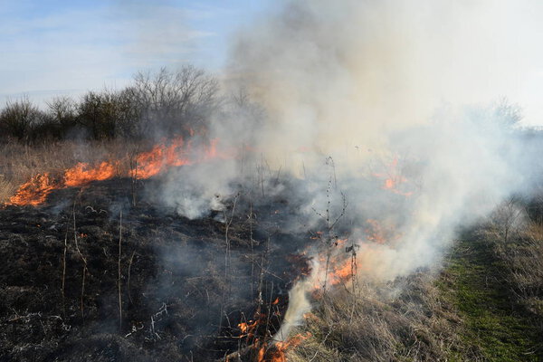 Burning dry grass and reeds. Cleaning the fields and ditches of the thickets of dry grass