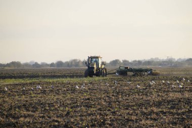 Traktör sürme alan pulluk. Hasat sonra sonbaharda toprak tilling. Sezon sonunda.