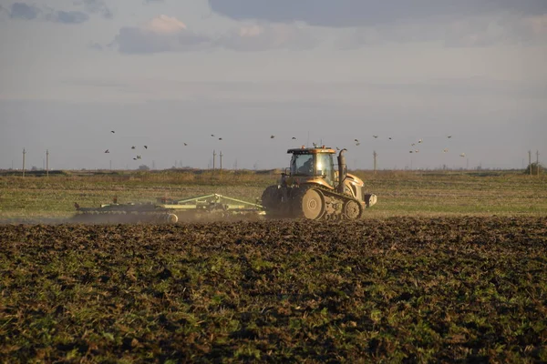 Traktor Membajak Lahan Tilling Tanah Musim Gugur Setelah Panen Akhir — Stok Foto