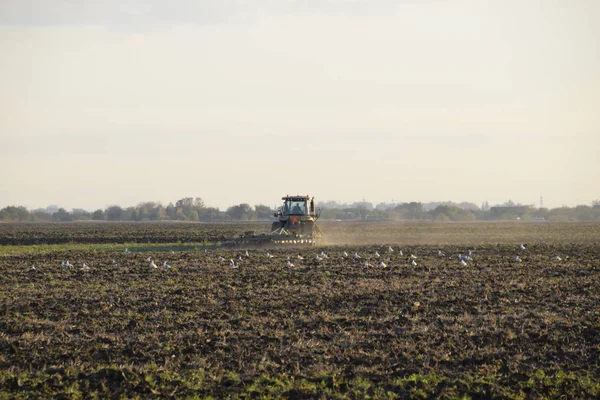 Aratura Trattore Arare Campo Tilling Terreno Autunno Dopo Raccolto Fine — Foto Stock