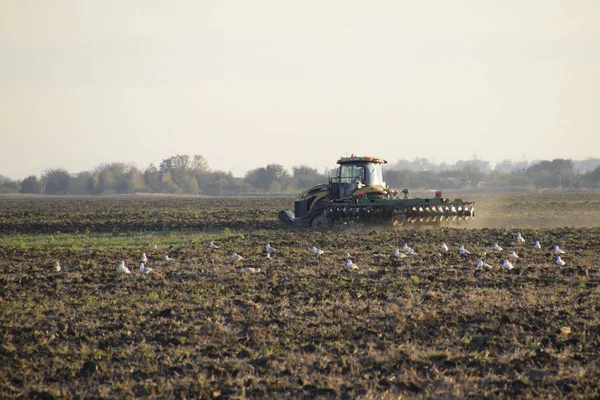 Traktor Membajak Lahan Tilling Tanah Musim Gugur Setelah Panen Akhir — Stok Foto