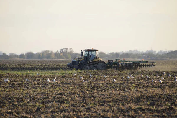 Aratura Trattore Arare Campo Tilling Terreno Autunno Dopo Raccolto Fine — Foto Stock