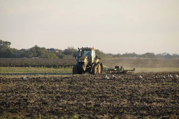 Traktor Membajak Lahan Tilling Tanah Musim Gugur Setelah Panen Akhir — Stok Foto