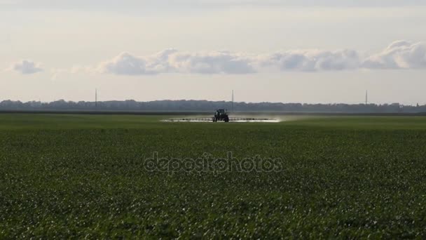 Tractor con ruedas altas está haciendo fertilizante en trigo joven — Vídeo de stock