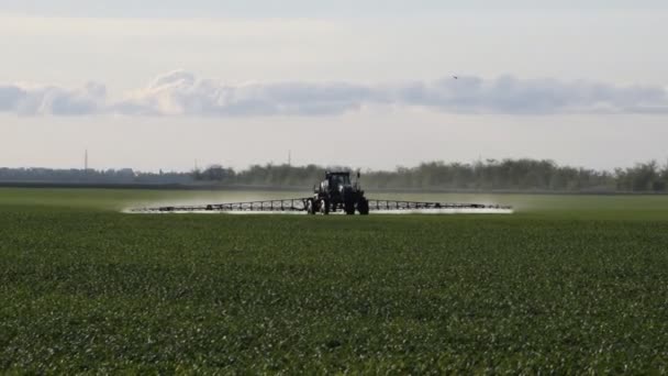 Trator com rodas altas está fazendo fertilizante em trigo jovem — Vídeo de Stock