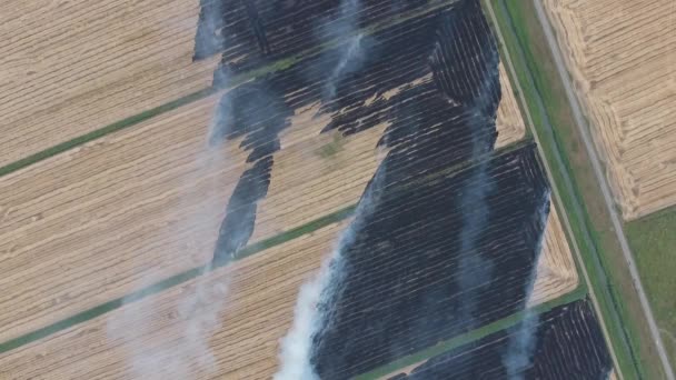 Brûler la paille dans les champs — Video