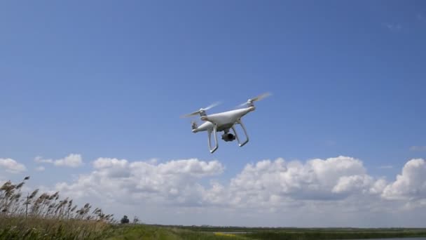 Les quadrocoptères de vol descendent du sol par vents forts. Résistance au vent des quadrocopters . — Video