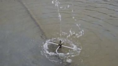 Parkta bir çeşme sıçraması. Güzel su jeti Çeşme yayılan. Yağmurlama su çeşme.