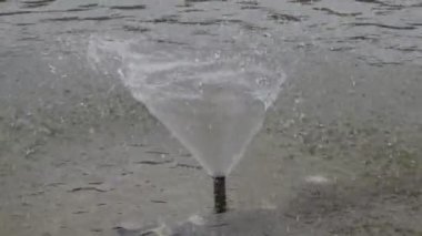 Parkta bir çeşme sıçraması. Güzel su jeti Çeşme yayılan. Yağmurlama su çeşme.