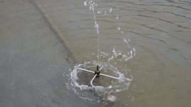 Schizzi Una Fontana Nel Parco Bellissimo Getto Acqua Emesso Fontana — Video Stock