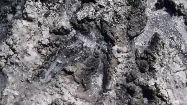 在泥盐湖的人的脚的痕迹 盐湖的表面 — 图库视频影像