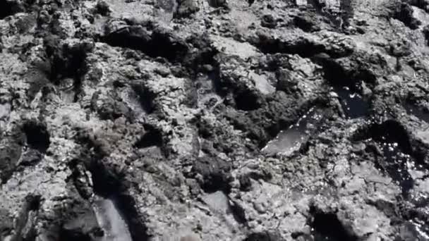 泥の塩の湖で人間の足の跡 塩の湖の表面 — ストック動画
