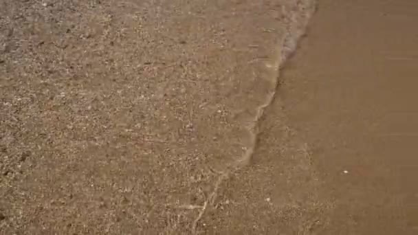 vagues clapotant sur le rivage sablonneux .