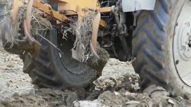 Ciągnika Orki Gleby Ogrodzie Pług Orki Jesienne Ogród — Wideo stockowe