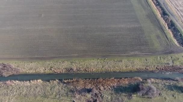 The channel of the lower level of the irrigation system of fields. — Stock Video