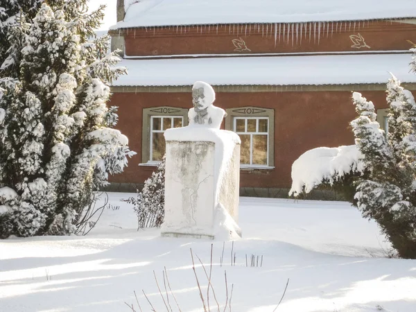 Pomnik Młodych Włodzimierz Ilicz Lenin Radziecki Działacz Komunistyczny — Zdjęcie stockowe