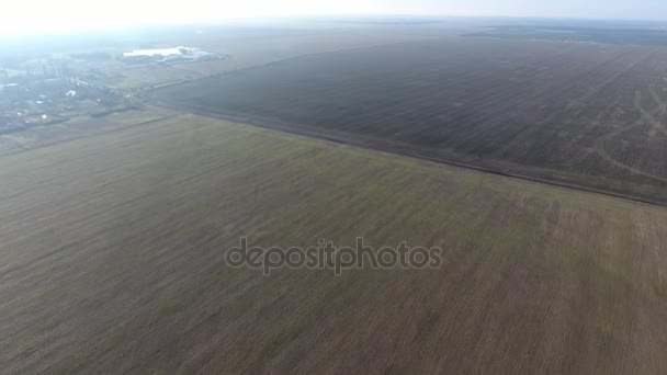 El vuelo sobre un campo de trigo de invierno — Vídeos de Stock