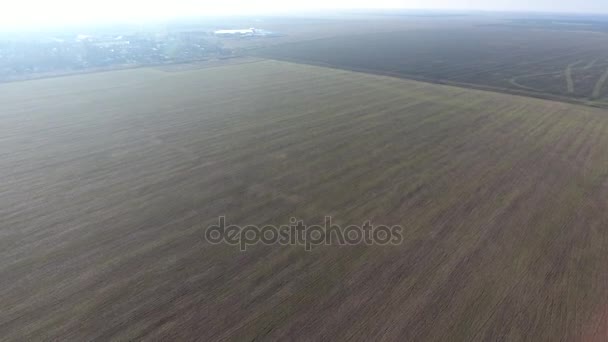 O voo sobre um campo de trigo de inverno — Vídeo de Stock