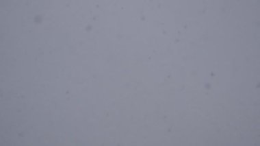 Kış gökyüzü arka plan üzerine düşen kar.