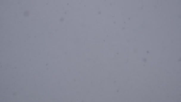 Fallande Snö Bakgrunden Vinter Himlen — Stockvideo