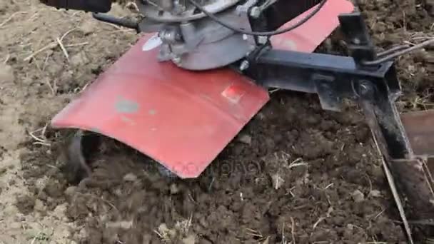 ウォークビハ インド型のトラクターにジャガイモを植える — ストック動画