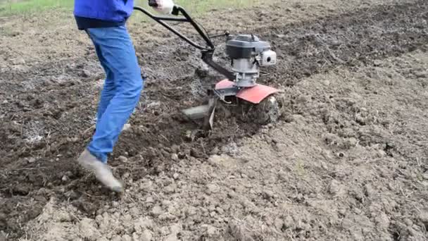 Plantar Batatas Debaixo Trator Homem Com Motor Bloco Jardim — Vídeo de Stock