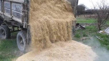 Pirinç döküntü römork vücuttan atık