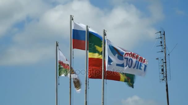 Número de banderas diferentes con escudos y banderas — Vídeos de Stock