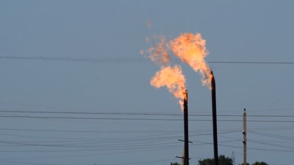 Sistem Bir Petrol Sahası Üzerinde Bir Meşale Yanan Bir Meşale — Stok video
