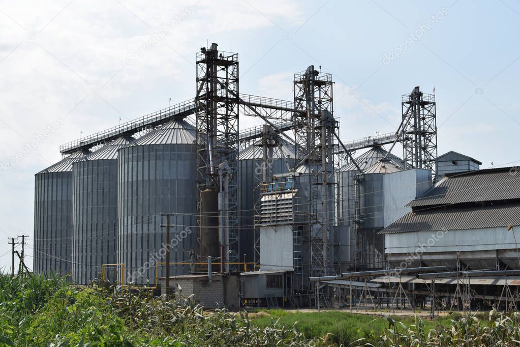 Plant for the drying and storage of grain